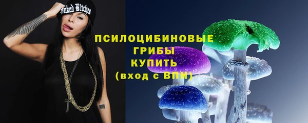 ECSTASY Алексин