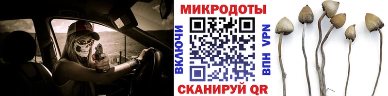 купить Трёхгорный Галлюциногенные грибы MAGIC MUSHROOMS
